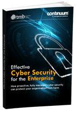 Ebook Cover_ cyber security for the enterprise